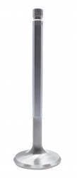 Ferrea High Performance Stainless Steel Ultimate Race Valve, Each FER-F6974-1